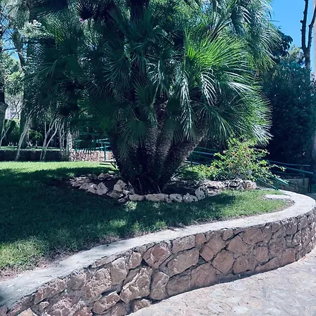 Apartamento Araya
