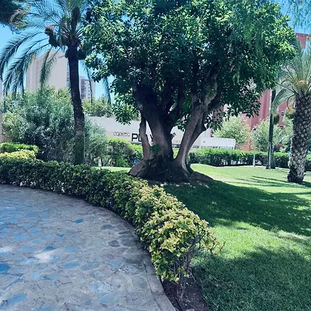 Araya Benidorm