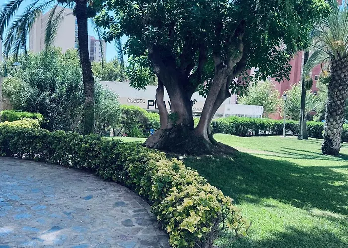 Araya Benidorm